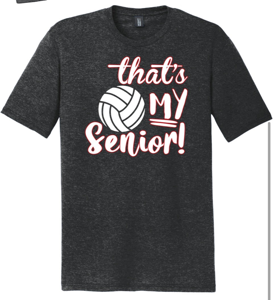 Volleyball Senior