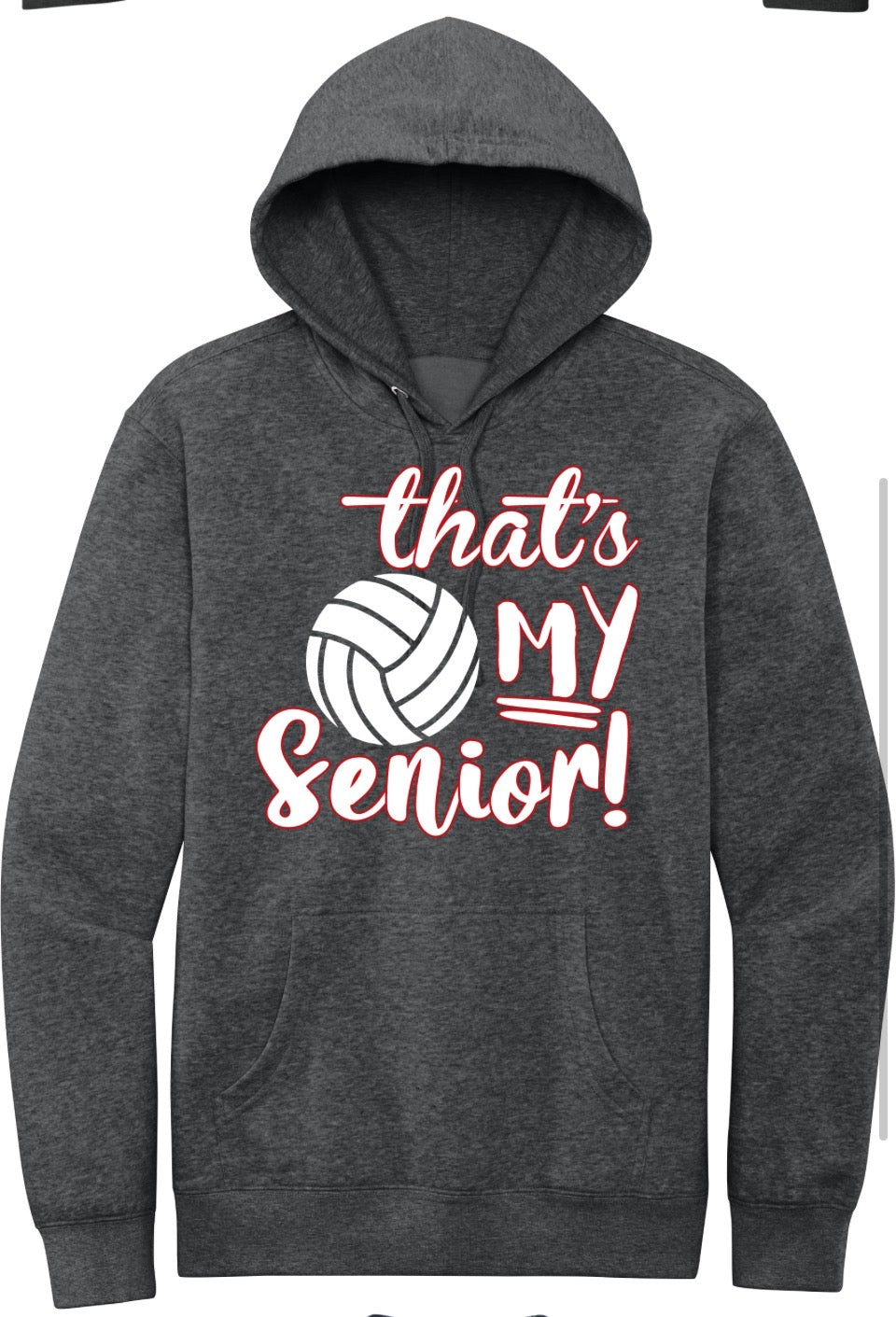 Volleyball Senior