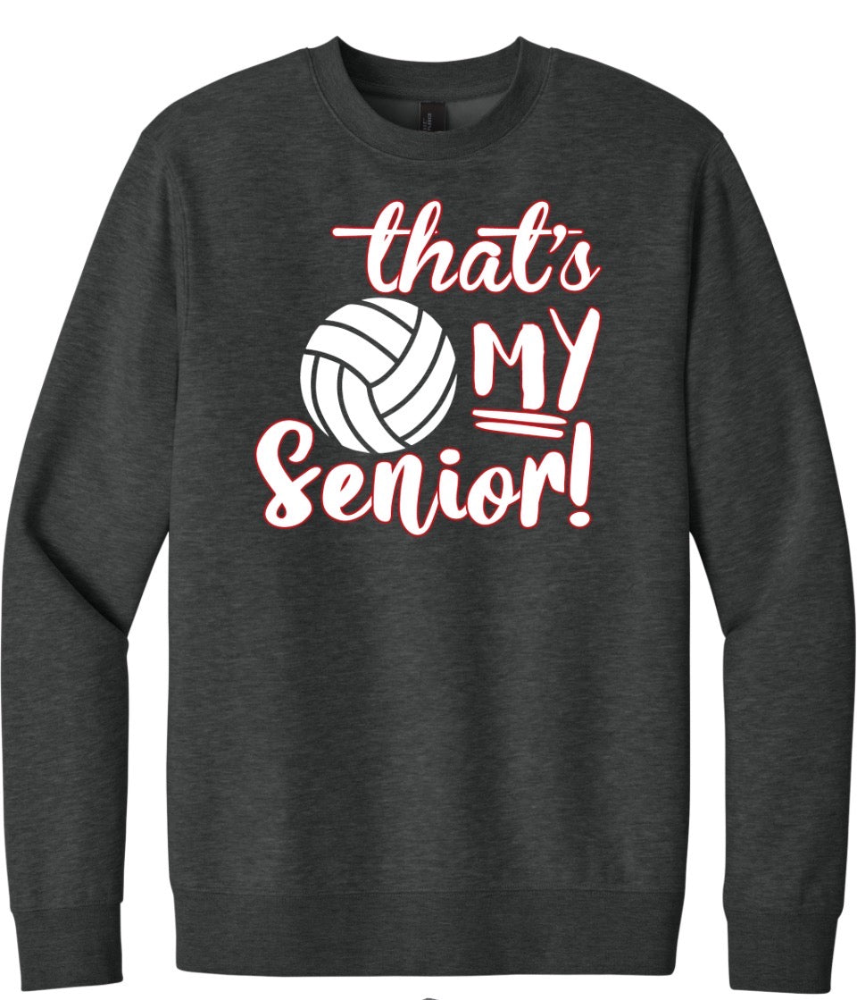 Volleyball Senior